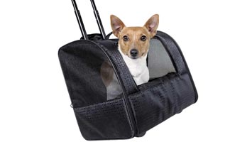 transporttaske kat
