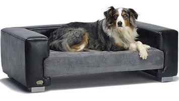 Hundesofa i god stil og flot design i træ og Windsor
